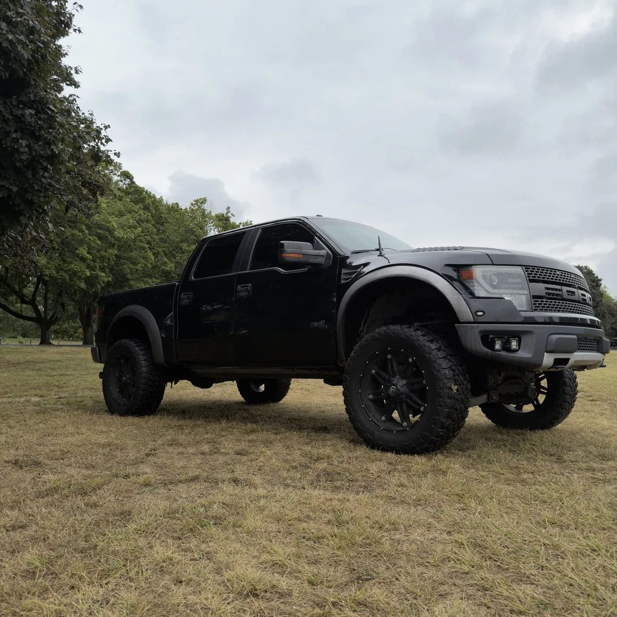 2013 Ford F-150 SVT Raptor, view