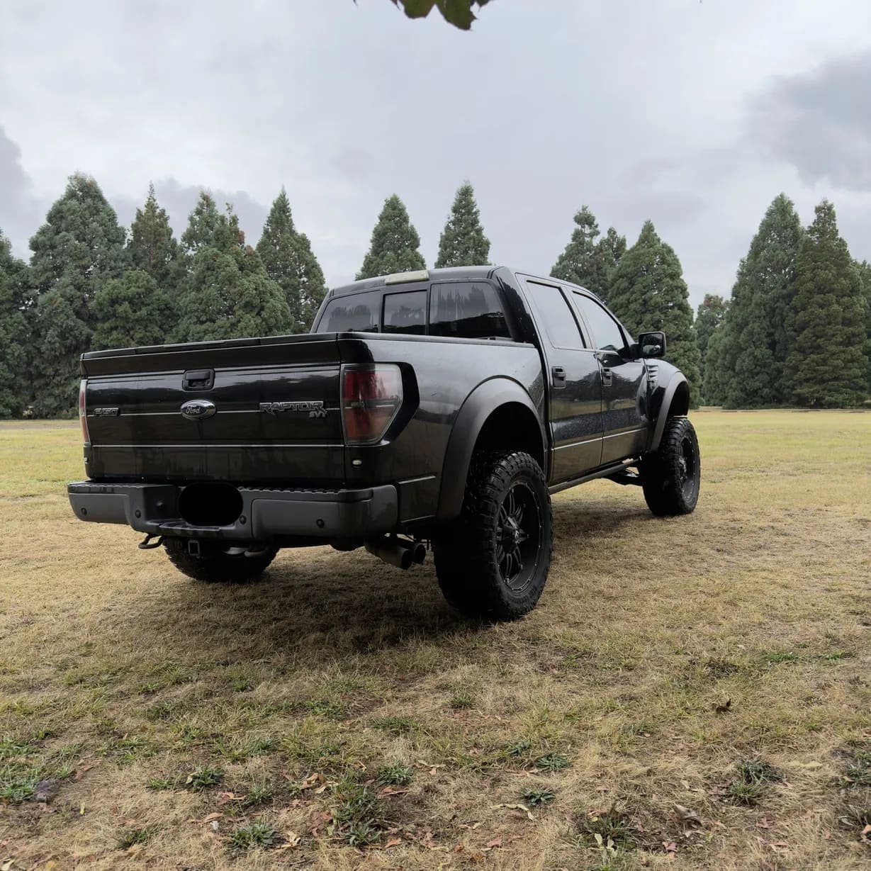 2013 Ford F-150 SVT Raptor, view