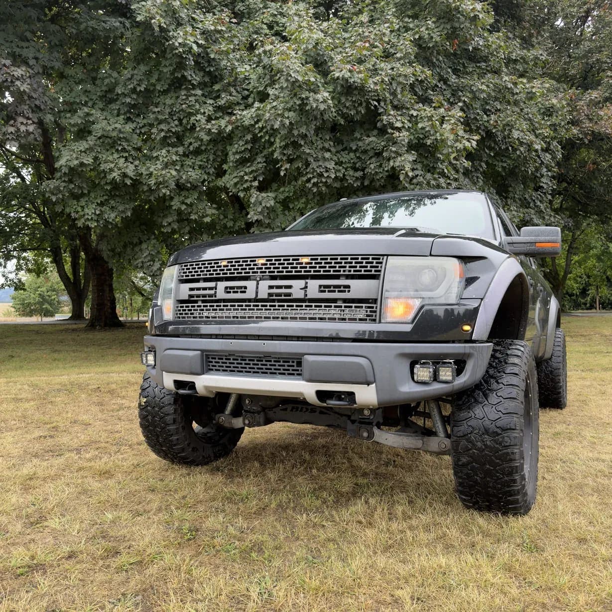 2013 Ford F-150 SVT Raptor, view