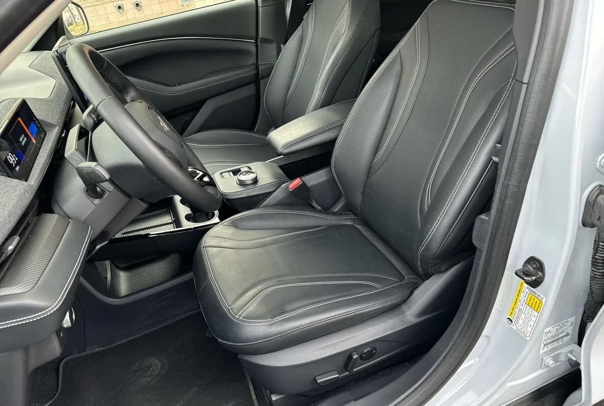 2021 Ford Mustang Mach E SUV, view