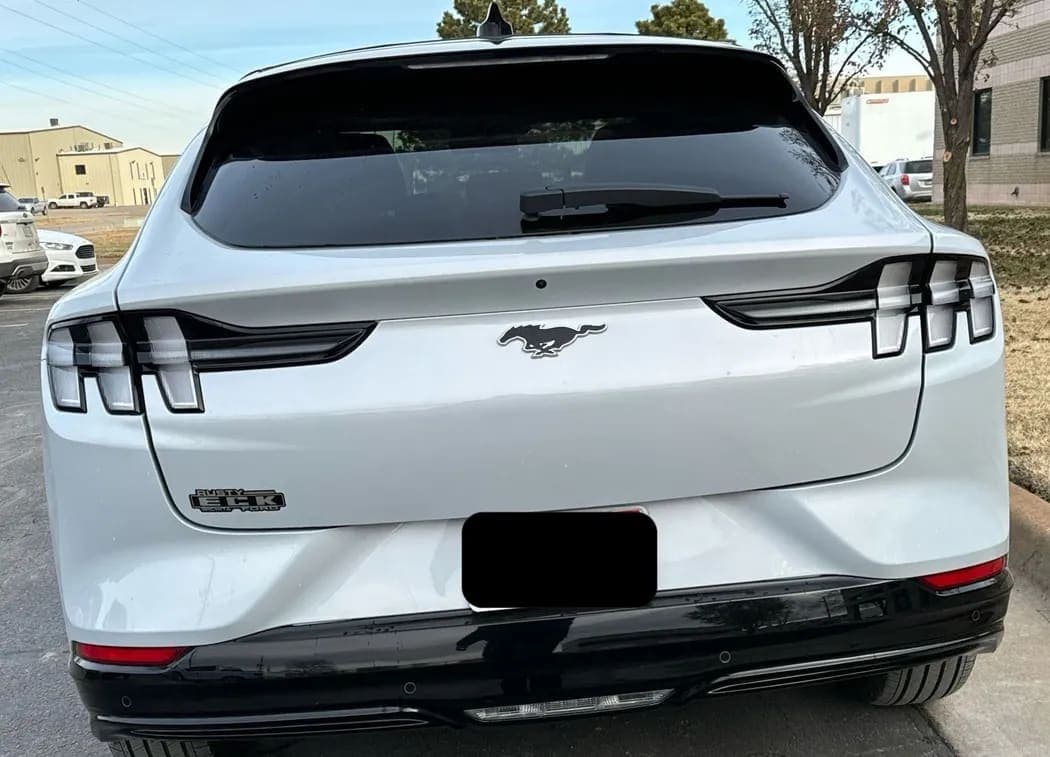2021 Ford Mustang Mach E SUV, view