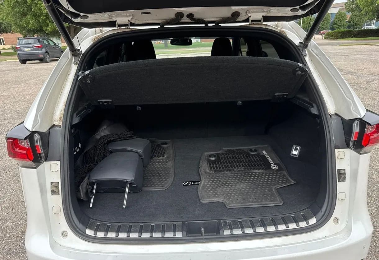 2015 Lexus NX 200T Sport SUV, view