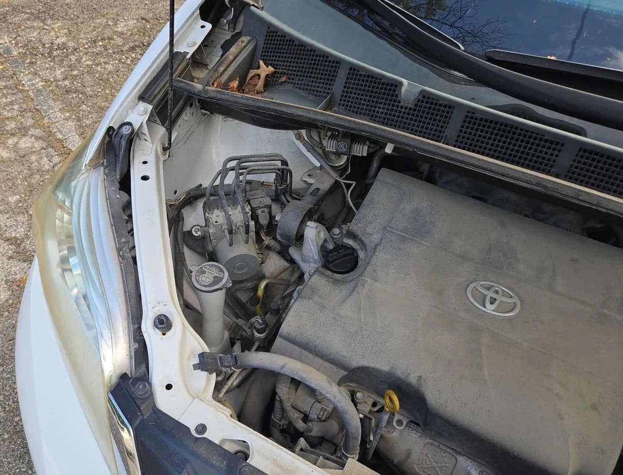 2011 Toyota Sienna LE van, view